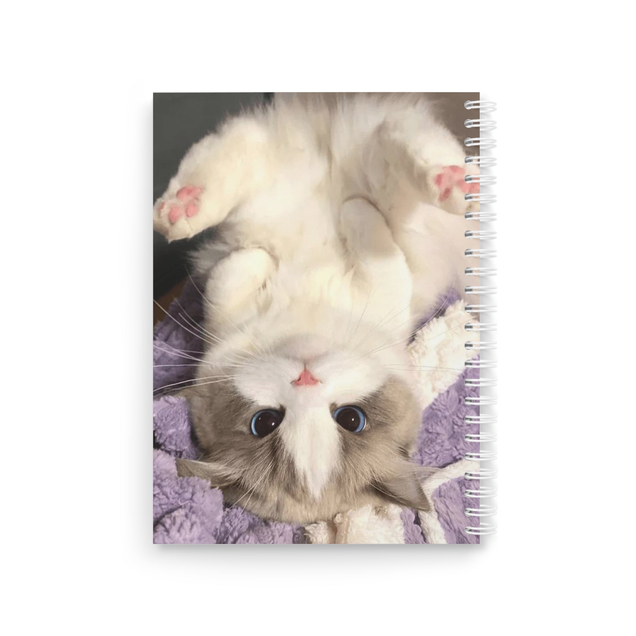 Cute Ragdoll Kitten Spiral Journal — Adorable Cat Notepad for Kids & Cat Lovers