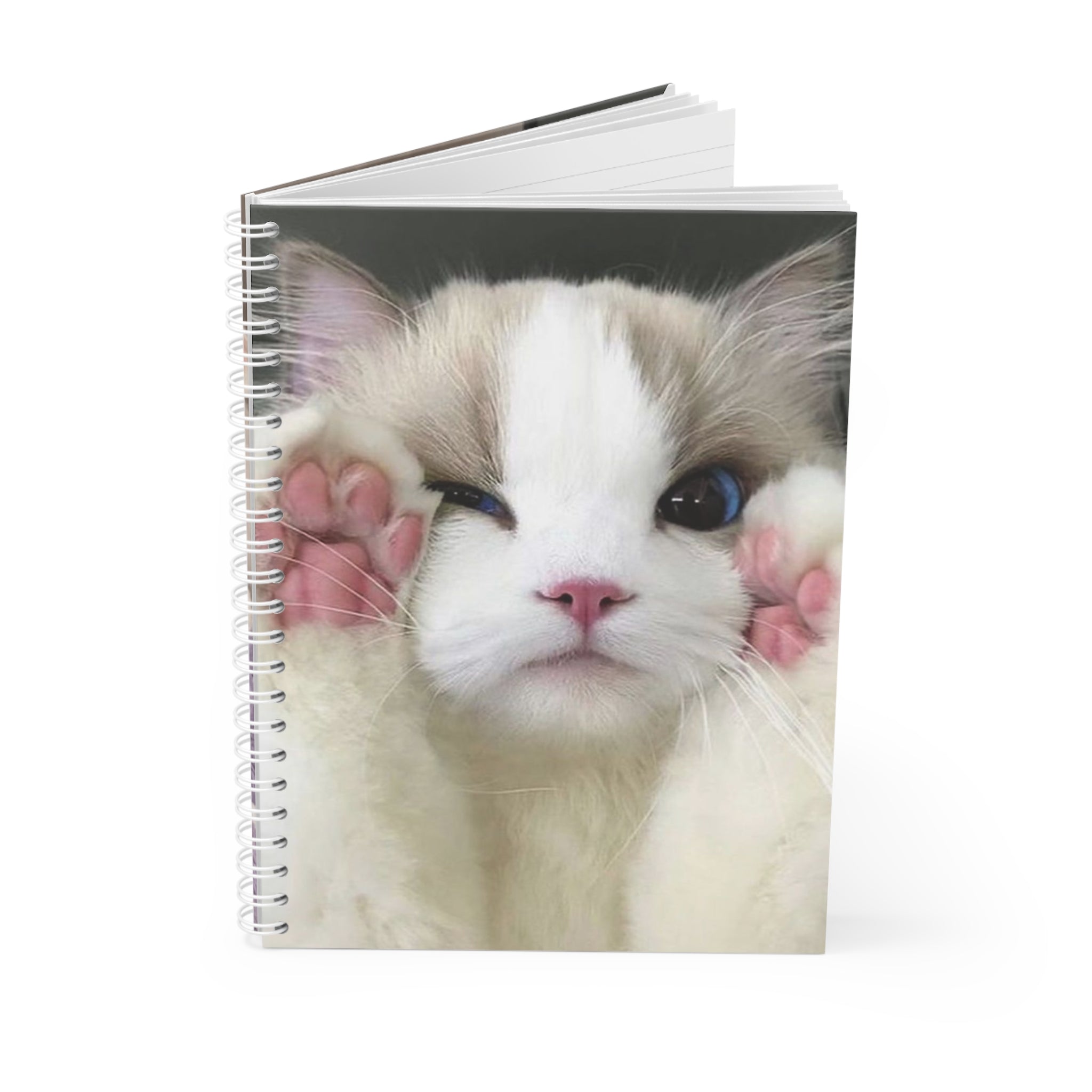 Cute Ragdoll Kitten Spiral Journal — Adorable Cat Notepad for Kids & Cat Lovers